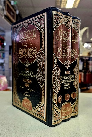 Al-Mustasfa fi Sharh al-Nafi (image for) Al-Mustasfa fi Sharh al-Nafi